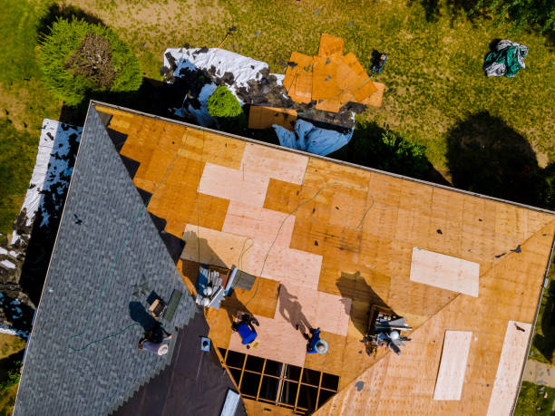 Quick and Trustworthy Emergency Roof Repair Services in Brazoria, TX